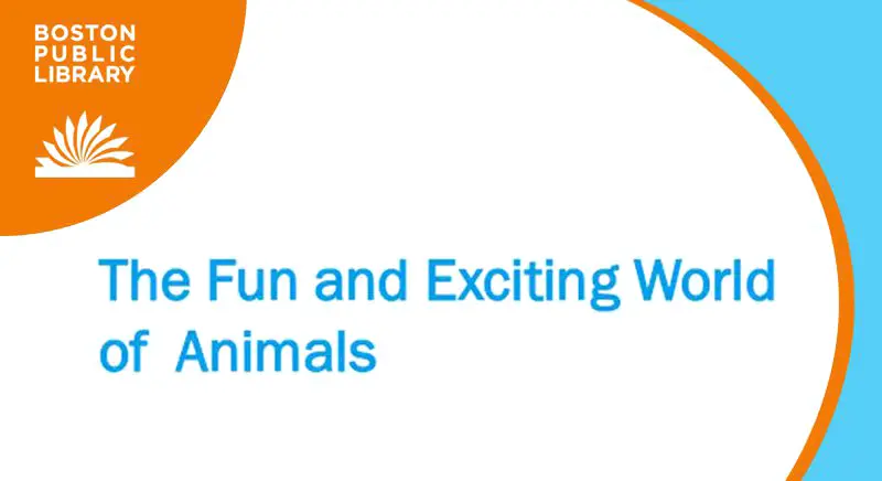 The Fun and Exciting World of Animals text banner