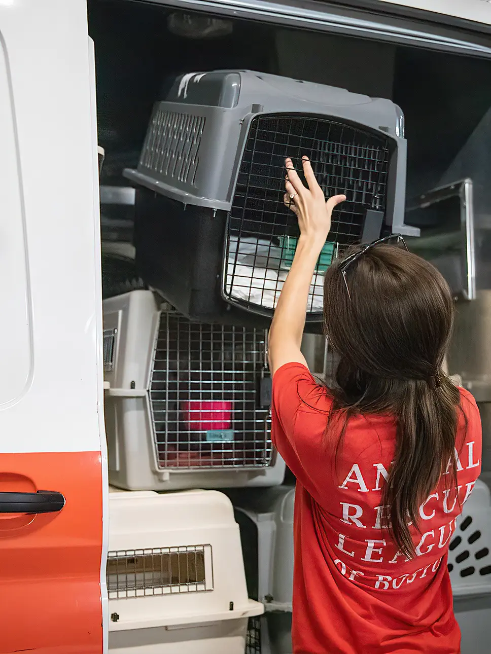 A person loading animal carriers into a vehicle.