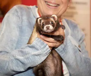 A person smiling, holding a ferret