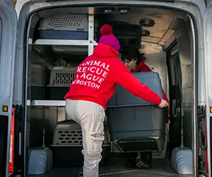 Two people in red jackets are loading a large pet carrier into the back of a van. The jackets have "Animal Rescue League of Boston" written on them.