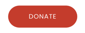 donate button