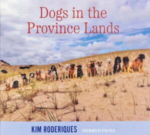 Dogs in the Province Lands book cover shows numerous dogs lined up on a beach