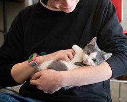 A young person holding a small kitten